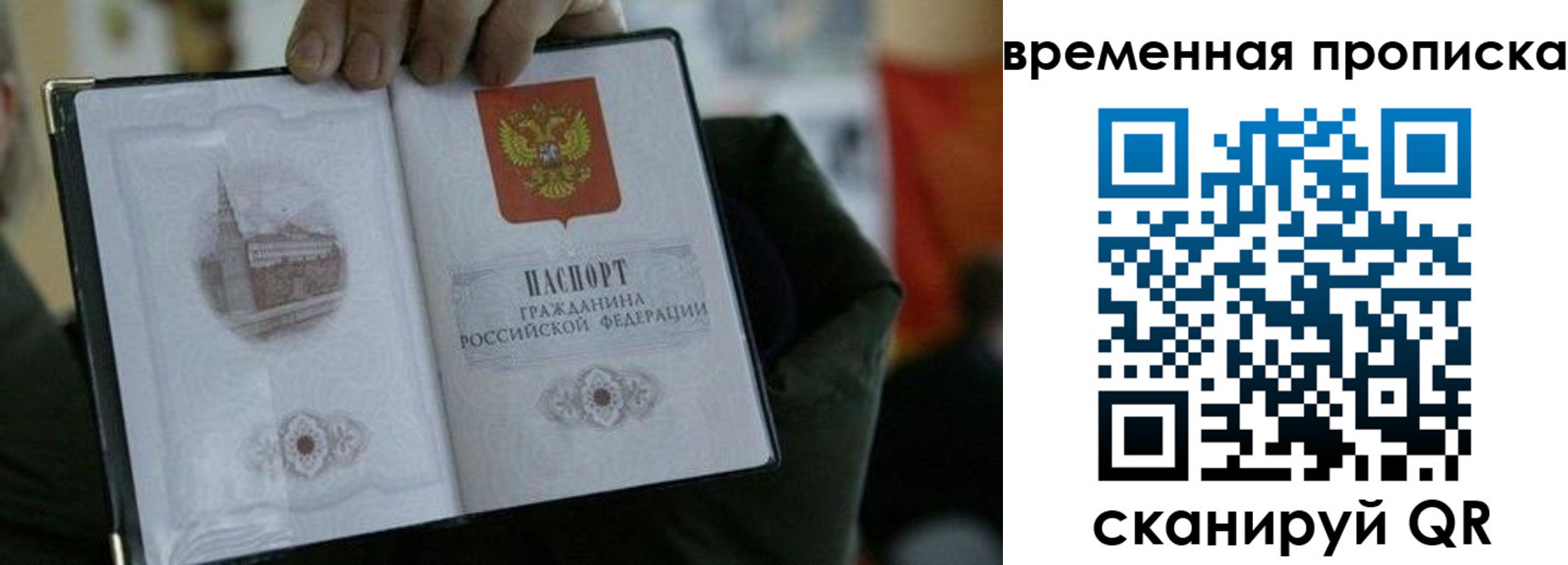 найти адрес прописки в Ставрополе